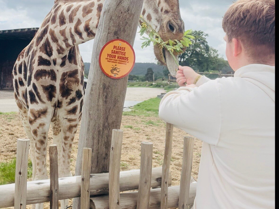 Safari Lodges At West Midlands Safari Park主图