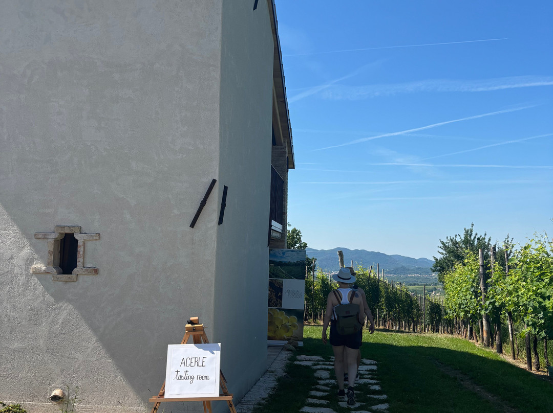 Azienda Agricola Acerle-Santo Stefano必去景点