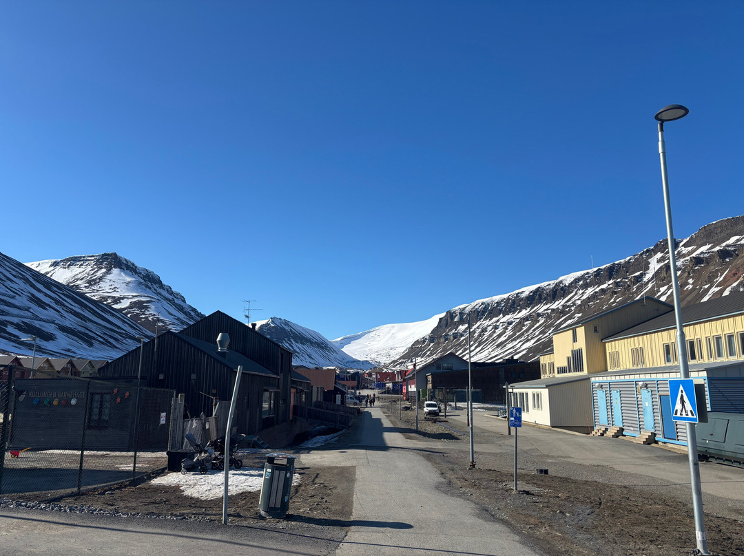 Svalbard Experts-朗伊尔城必去景点