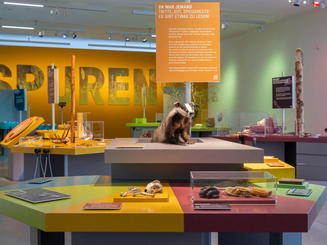 Naturmuseum St.Gallen-圣加仑必去景点