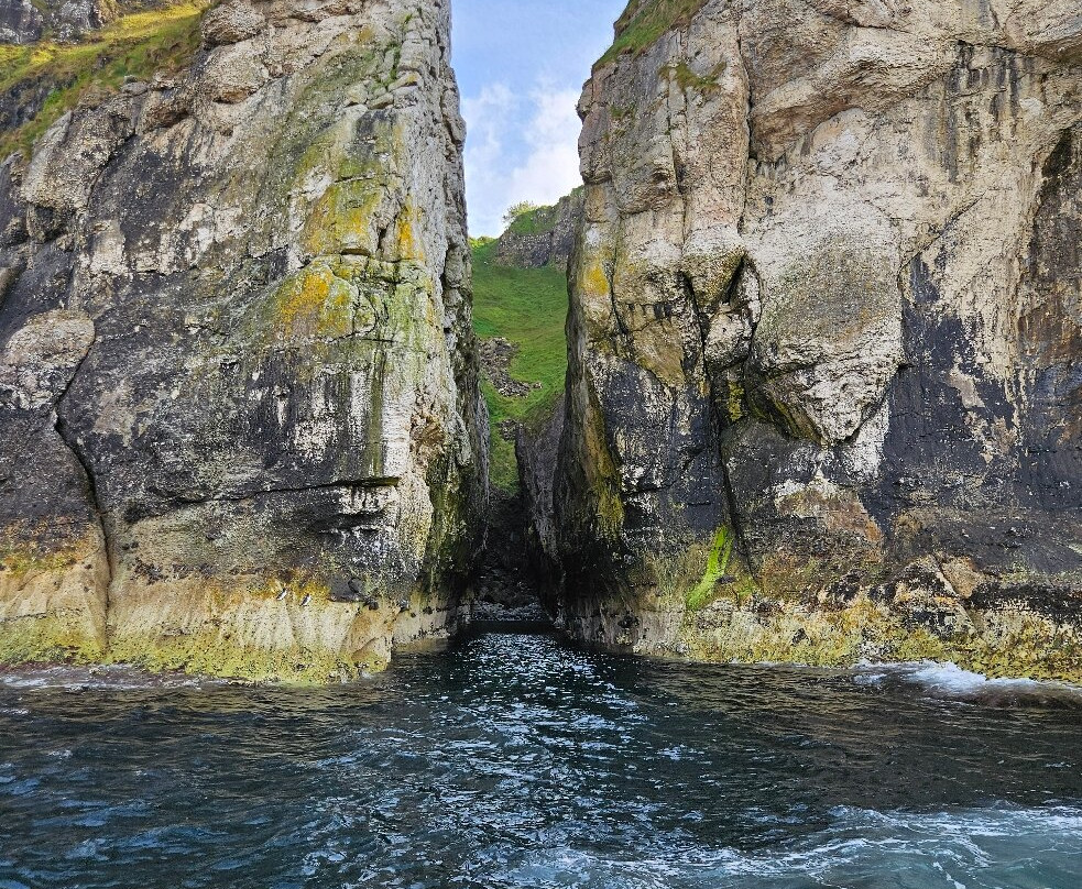 Ballintoy Boat Tours-Ballintoy必去景点