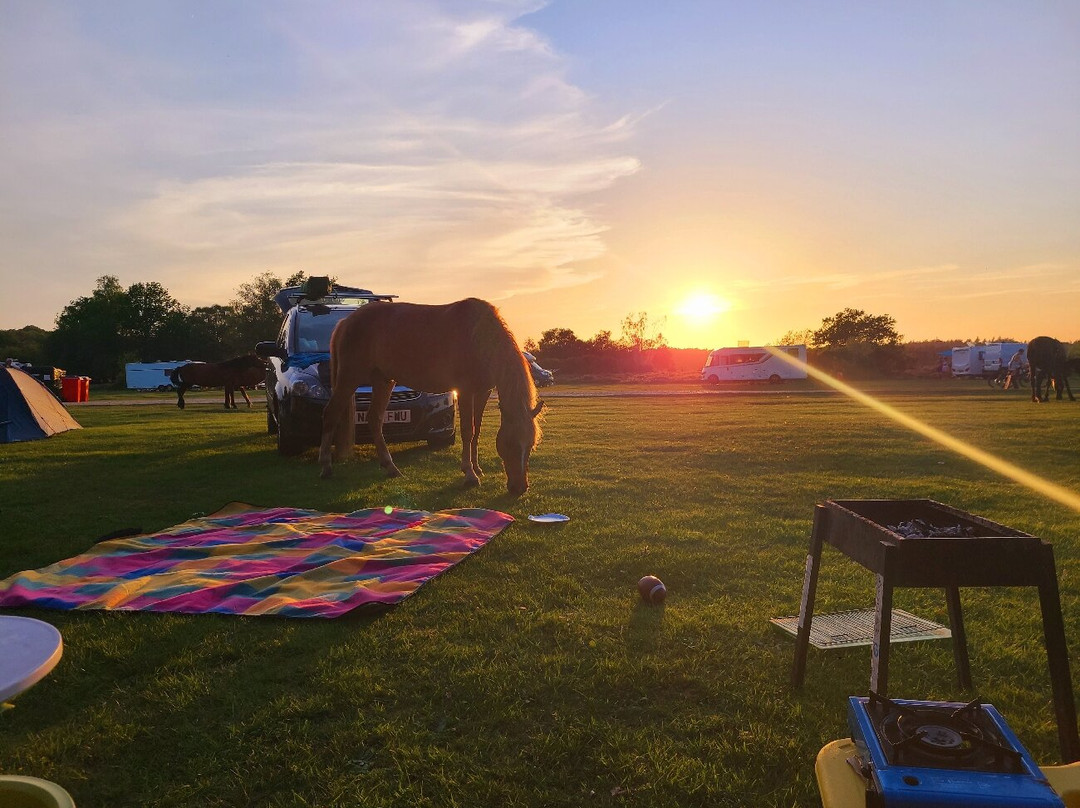 Aldridge Hill Campsite