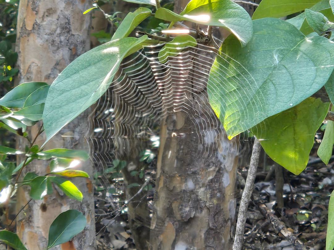 Windley Key Fossil Reef Geological State Park-伊斯拉摩拉达必去景点
