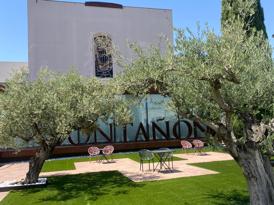 Bodegas Ontañón, El Templo del Vino-洛格罗尼奥必去景点