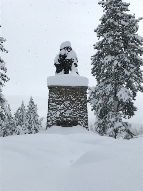 Donner Memorial State Park-特拉基必去景点