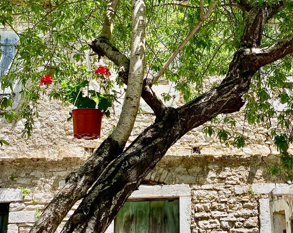 Old Perithia | Corfu's Oldest Village-科孚必去景点