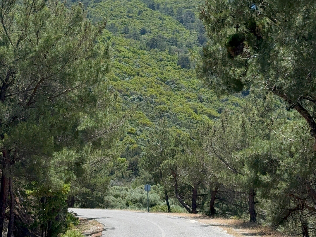 Guzelcamli National Park-艾登必去景点