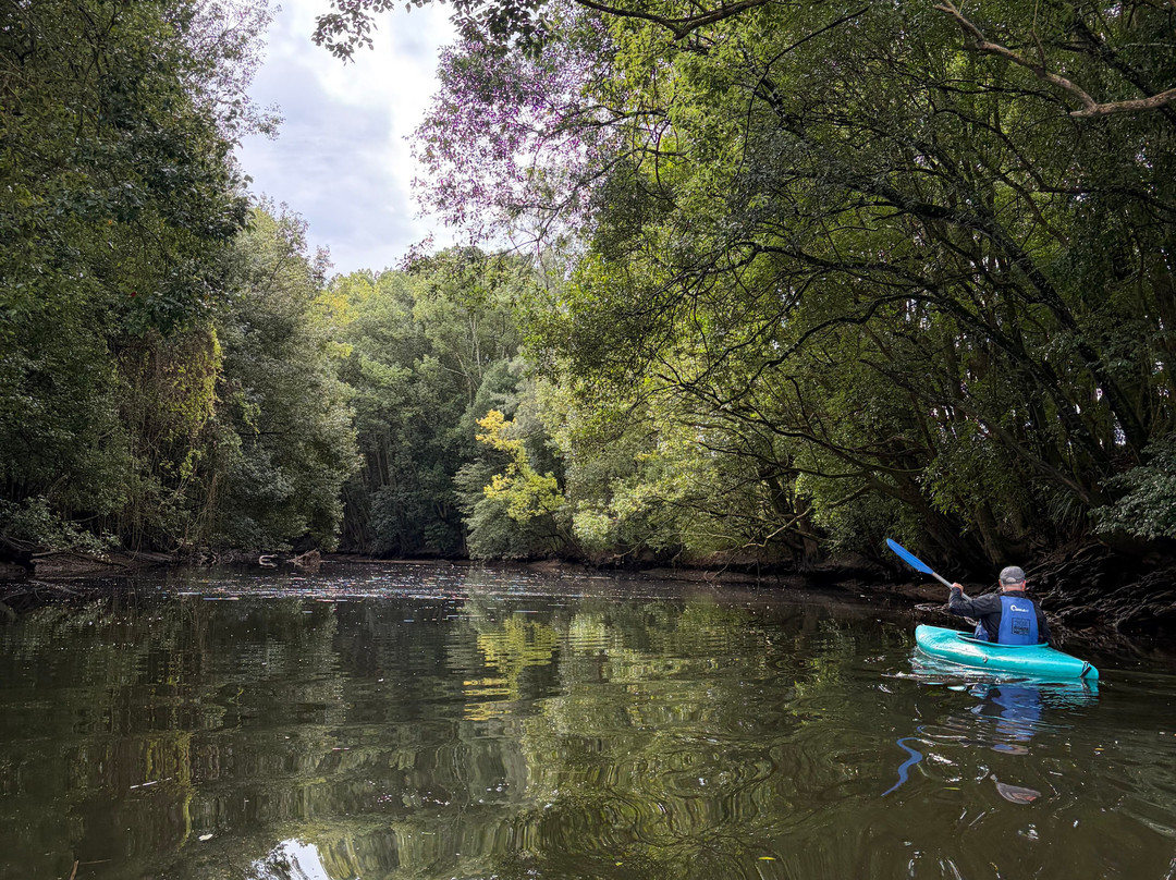 Bellingen Canoe Adventures-贝林真必去景点