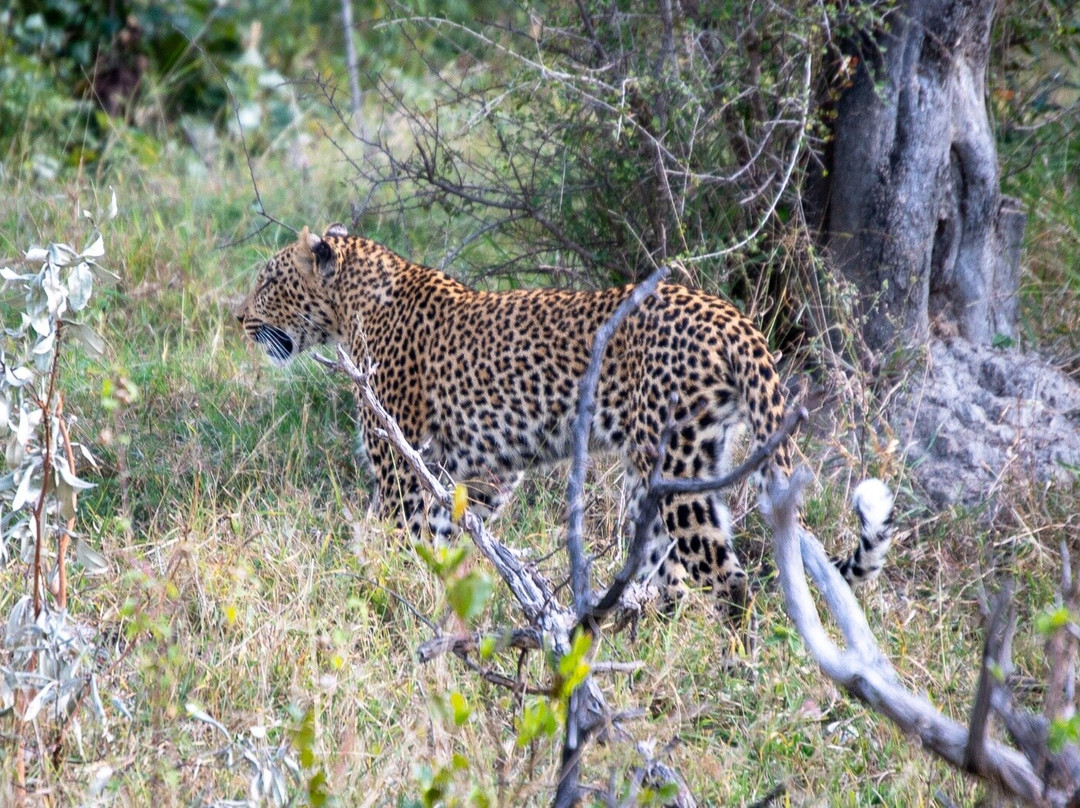 Southern Kruger Safaris-玛洛斯帕克必去景点