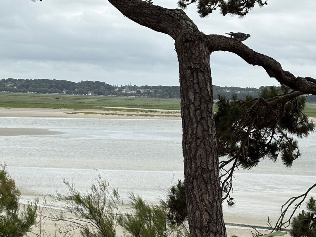 Plage Le Crotoy-Le Crotoy必去景点