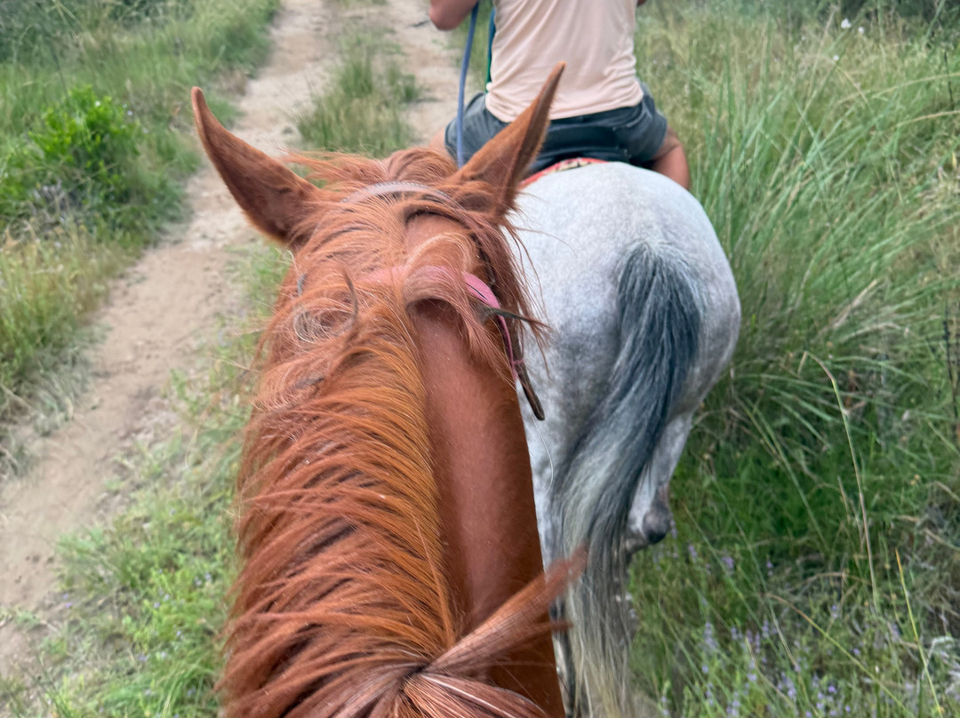 Belek Safari | Horse Riding Tour-Kumkoy必去景点