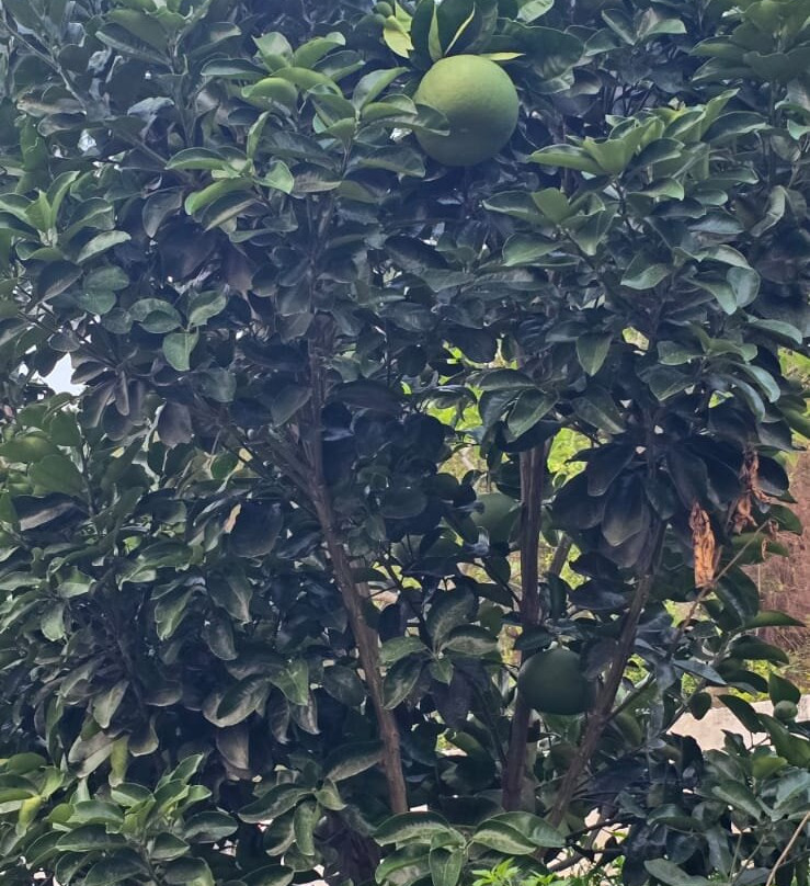 ROI浮动小屋和生态客房酒店主图