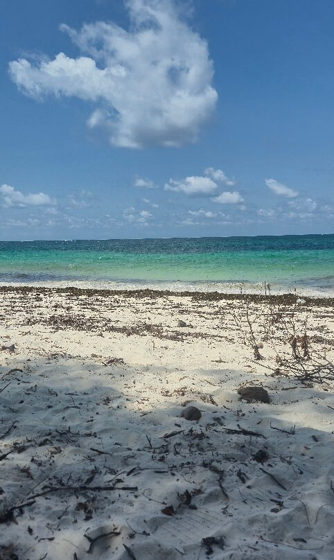 Watamu Beach-马林地必去景点