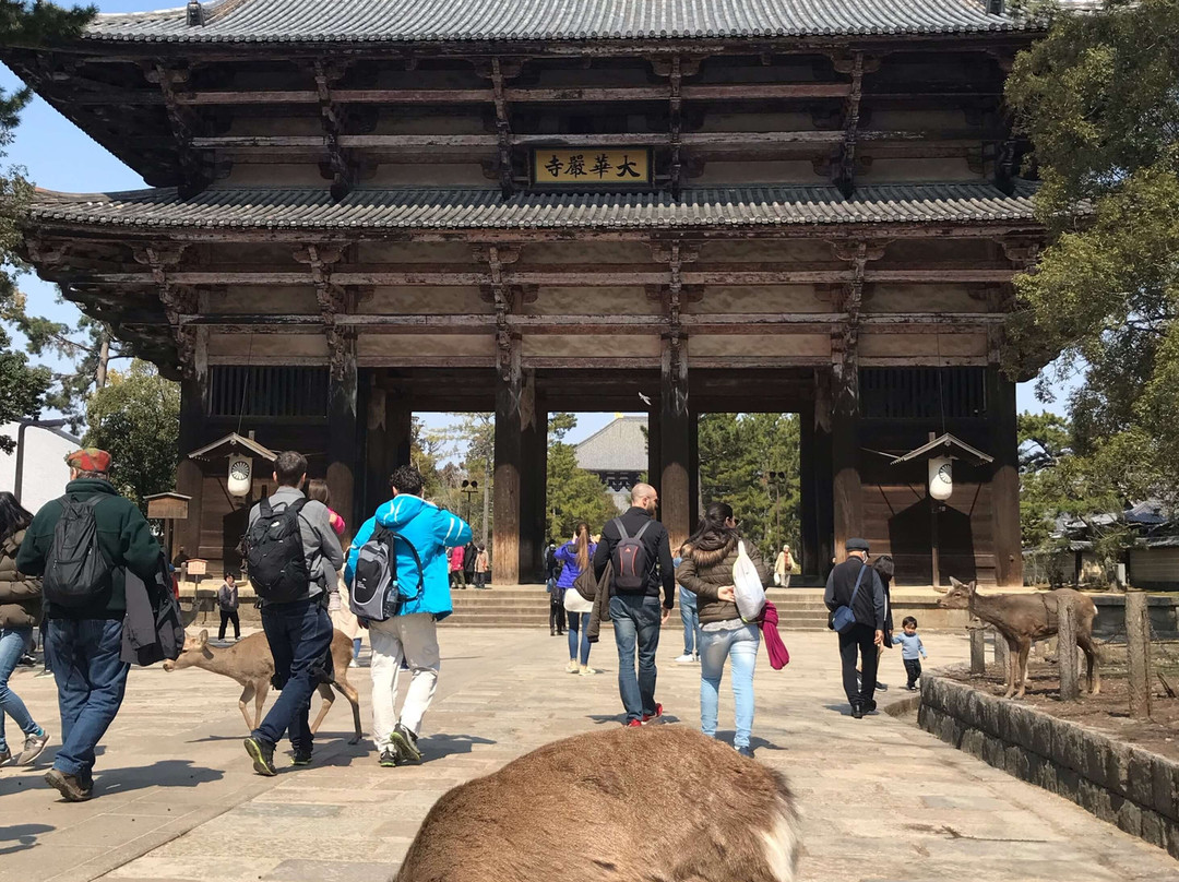 Todai-ji Temple Nandai Gate-奈良市必去景点