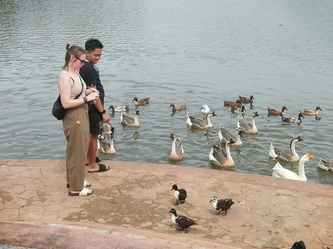 Nong Yai Tang Chang Public Park-春蓬必去景点