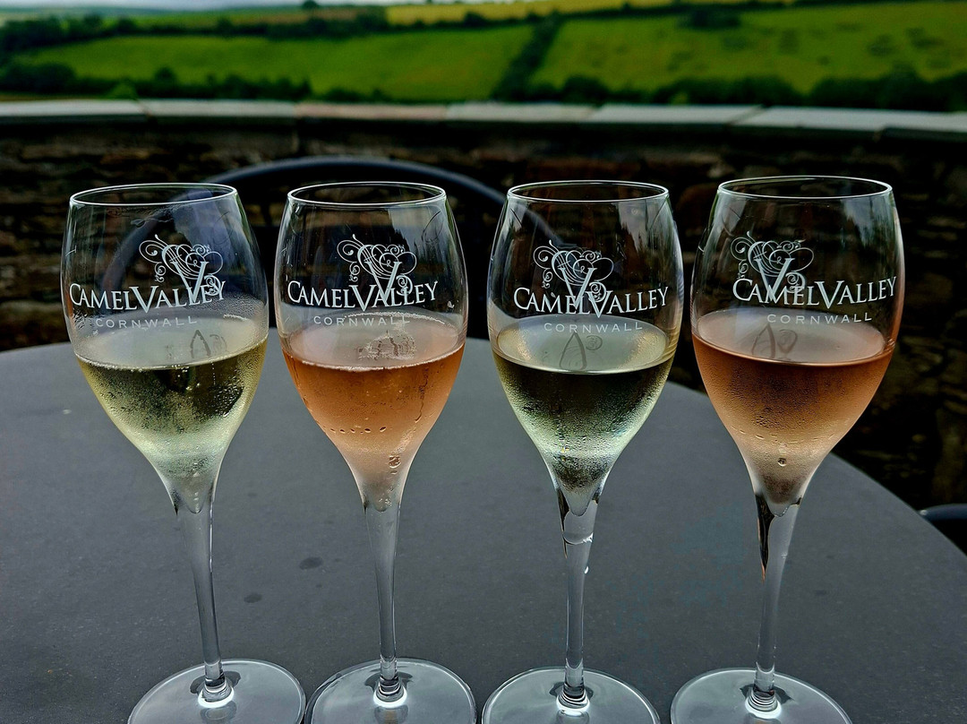 Camel Valley Vineyard-博德明必去景点