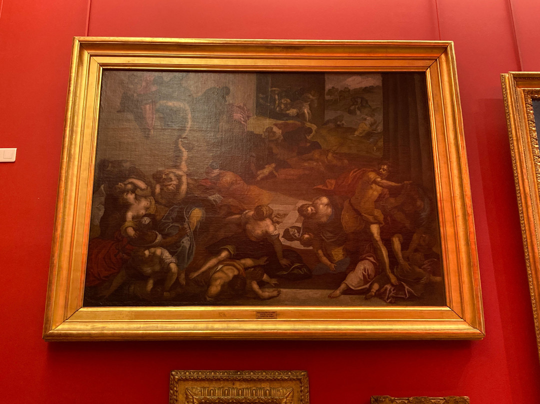 Musée des Beaux-Arts (Fine Arts Museum)-雷恩必去景点