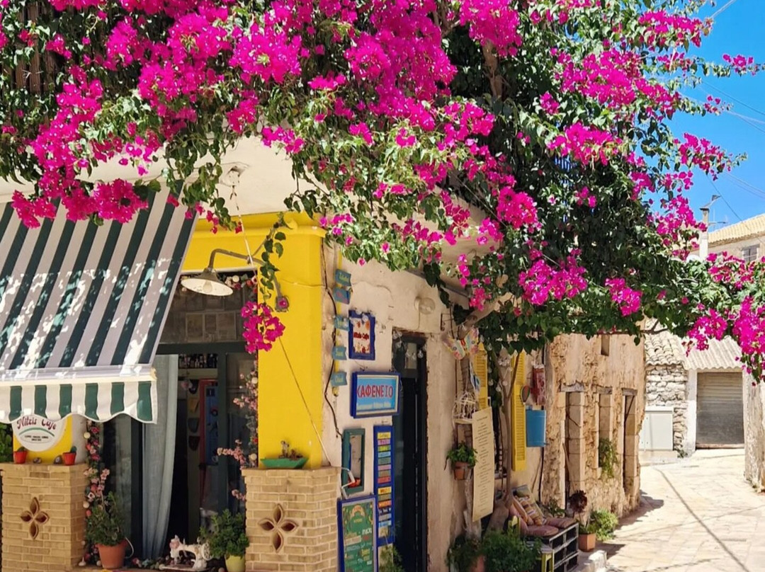 Nefis Travel Zakynthos-提斯里菲必去景点
