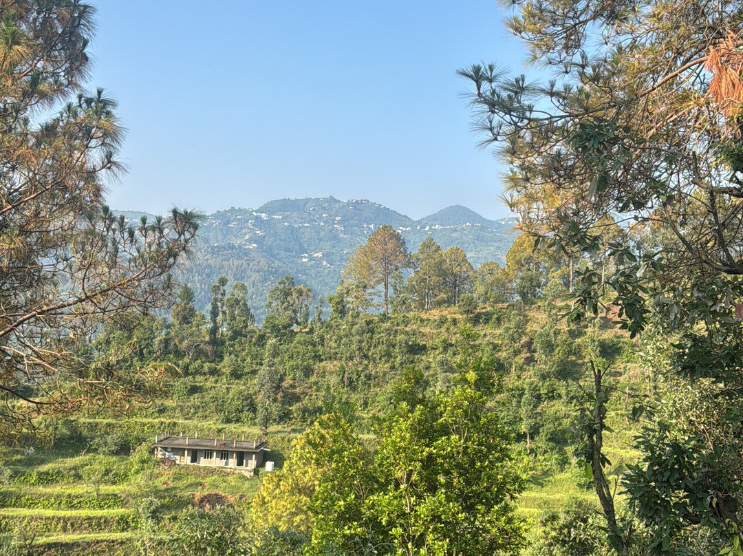The Slow Living Farm-Simyal Gaon必去景点