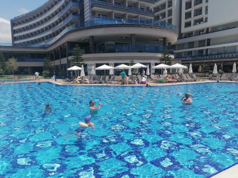 Lonicera Premium-旅行者