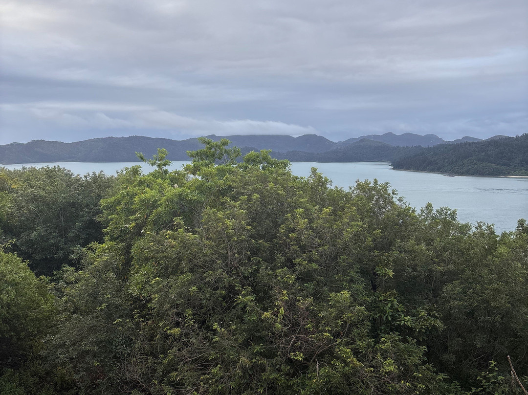 One Tree Hill Sunset Cocktails-汉密尔顿岛必去景点