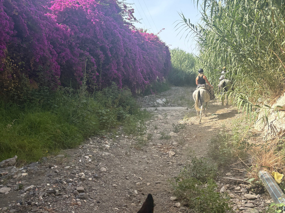 Andale Riding Nerja-内尔哈必去景点