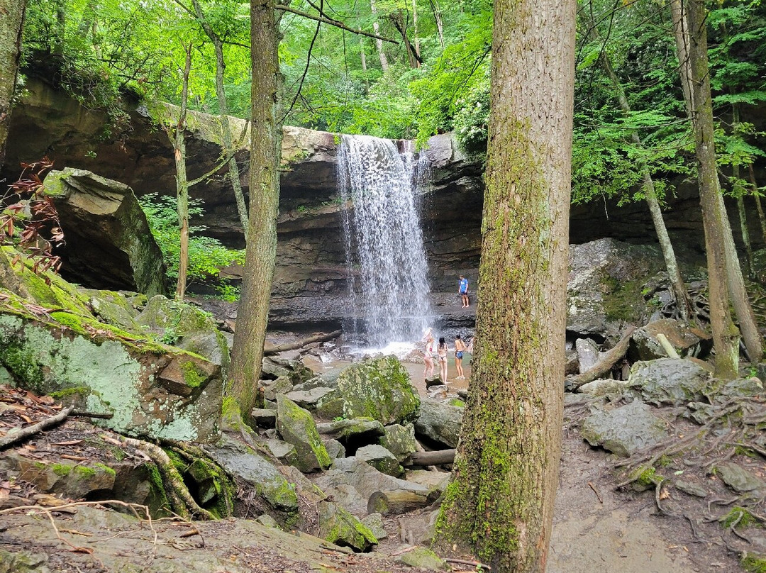 Ohiopyle State Park-Ohiopyle必去景点