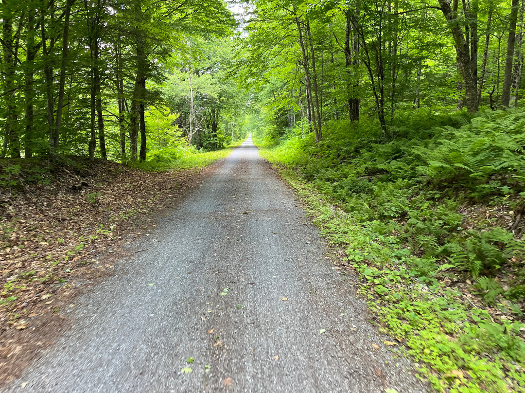Lamoille Valley Bike Tours-Johnson必去景点