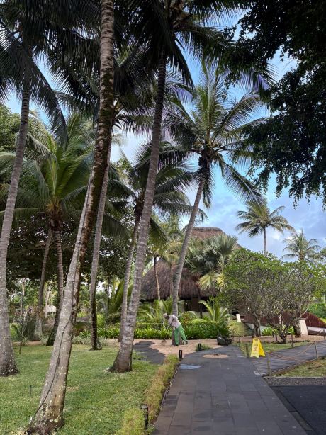 So Sofitel Martitius-旅行者