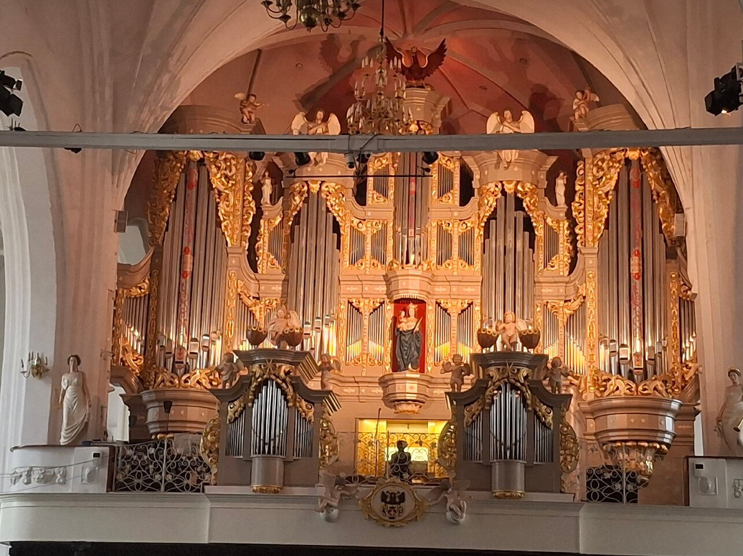 Konigsberg Cathedral-加里宁格勒必去景点
