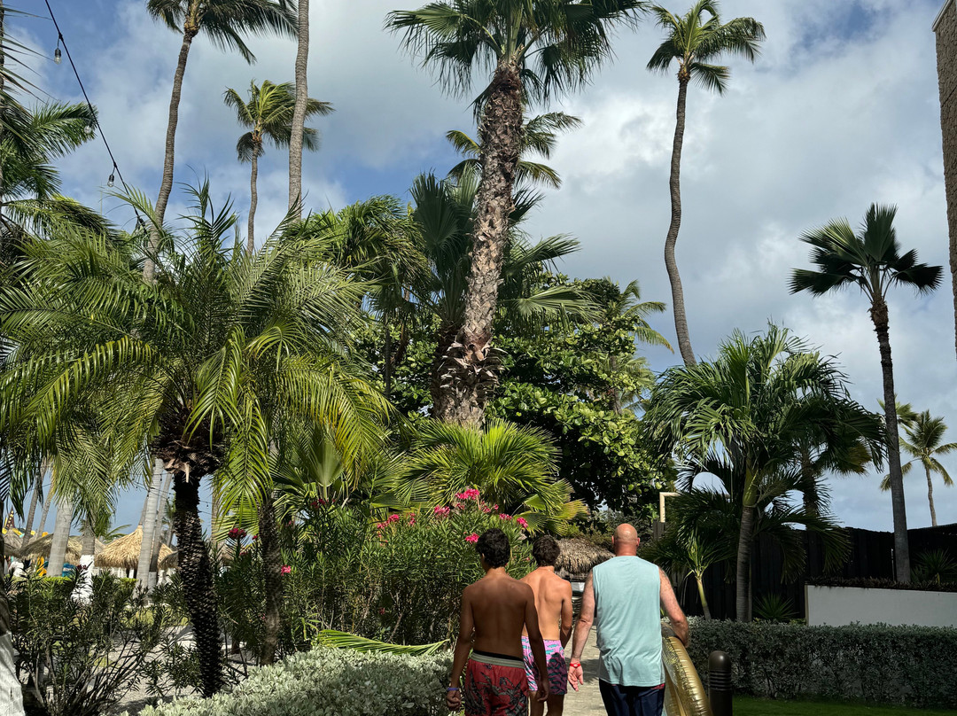 Holiday Inn Aruba-Noord必去景点