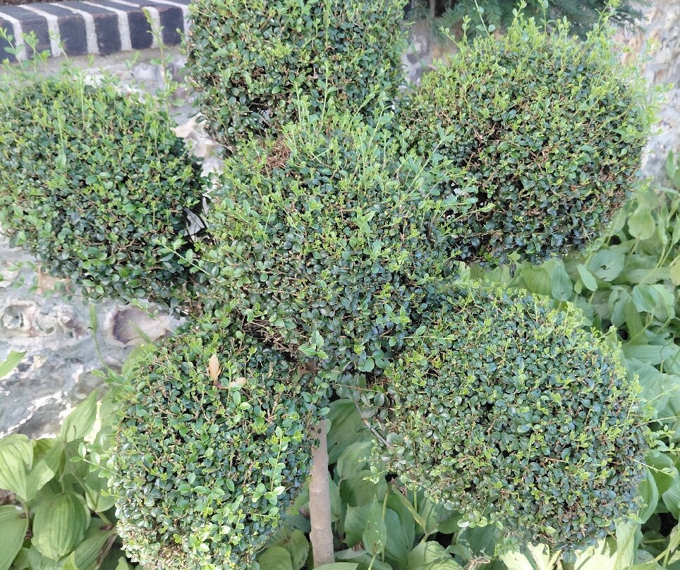 Jardins d'Etretat-埃特勒塔必去景点