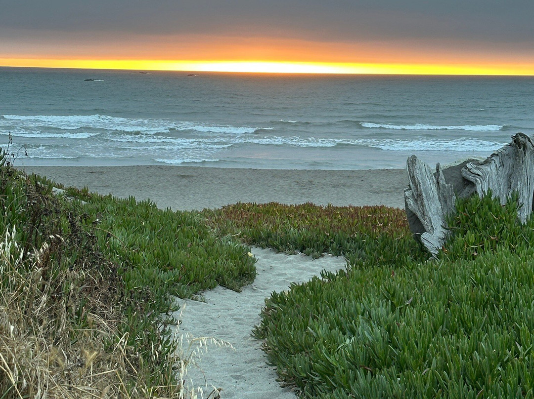 Trinidad State Beach-Trinidad必去景点