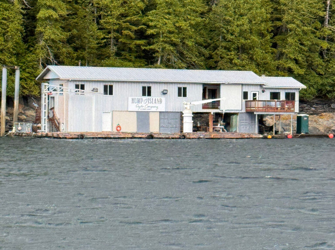 Hump Island Oyster & Kelp Farm with Tasting-凯奇坎必去景点