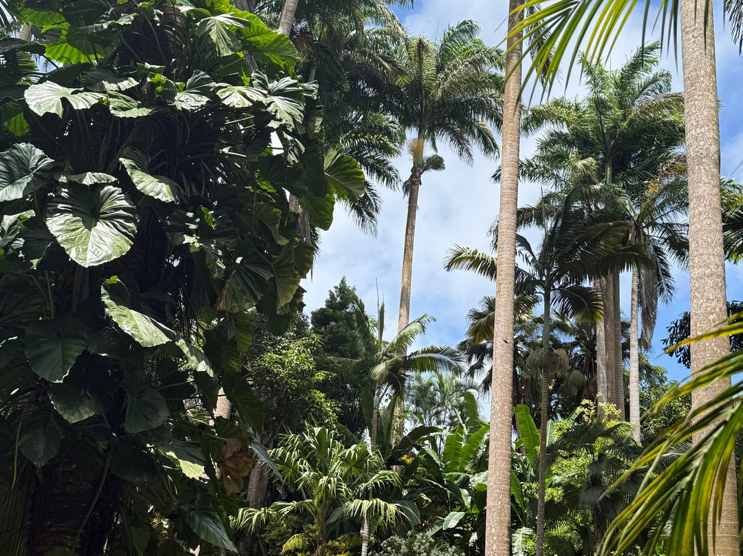 Hunte's Gardens-Saint Joseph Parish必去景点