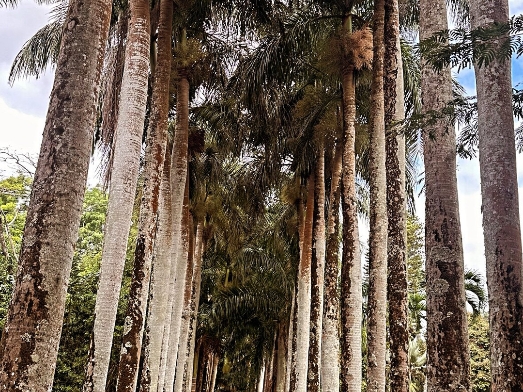 Paradisio Excursions Ile Maurice-大湾必去景点