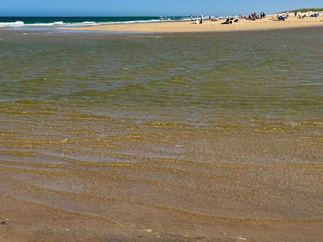 Holkham Bay-Wells-next-the-Sea必去景点