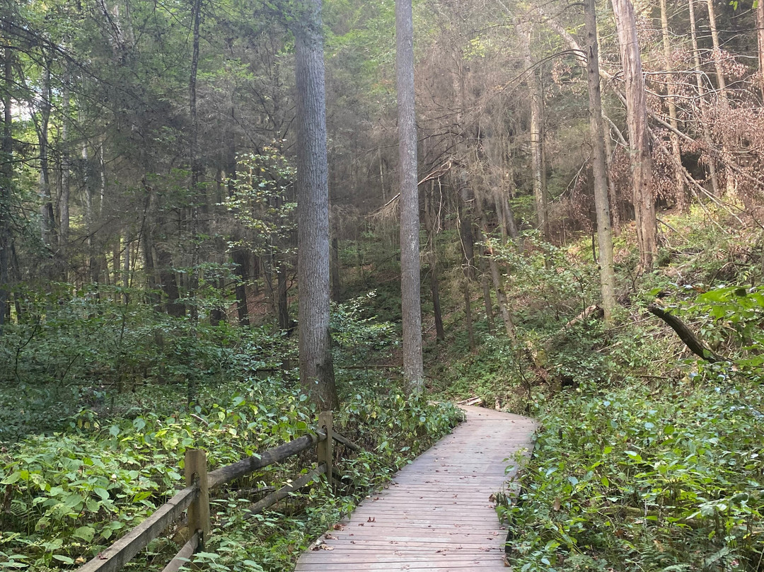 Conkles Hollow State Nature Preserve-Rockbridge必去景点