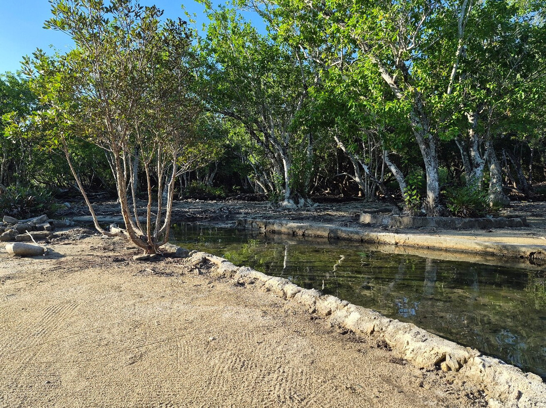 Takara Hot Springs-Baofatu必去景点