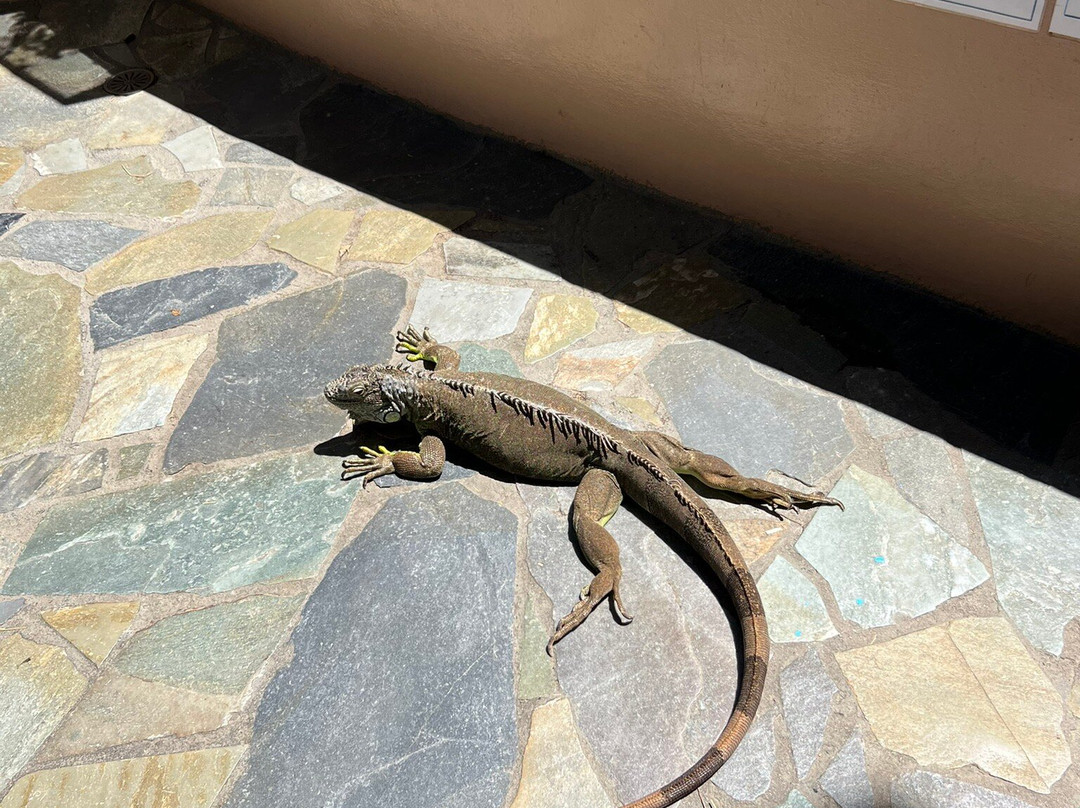 Aquaworld Aquarium & Reptile Rescue Centre-赫索尼索斯必去景点