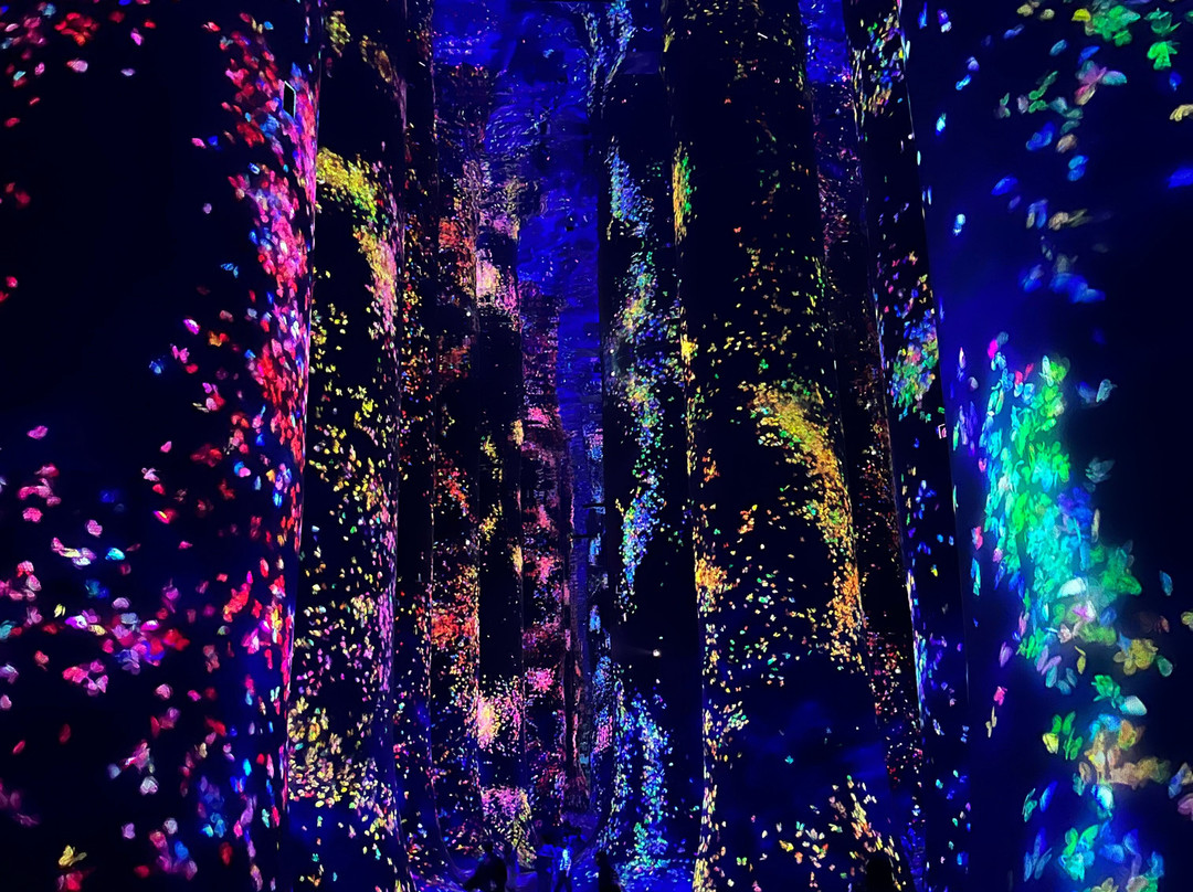 teamLab Phenomena Abu Dhabi-阿布扎比必去景点