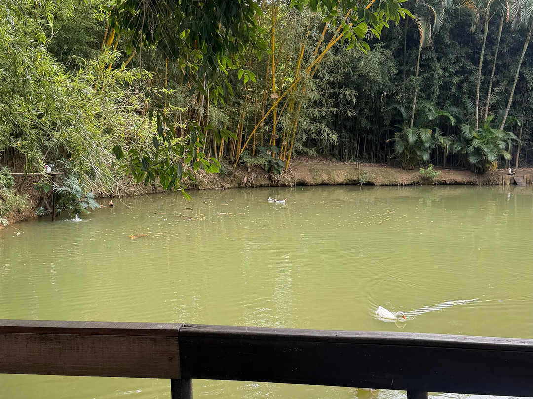 诺瓦吉隆达旅馆主图