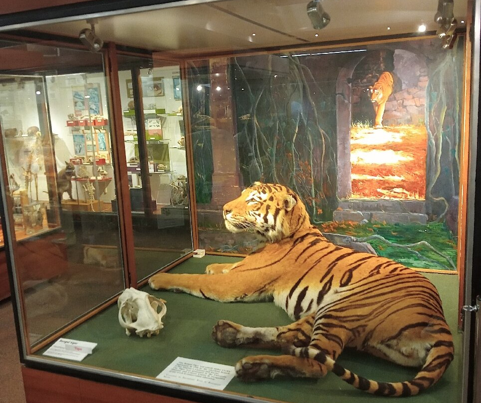 University of Aberdeen Zoology Museum-阿伯丁必去景点