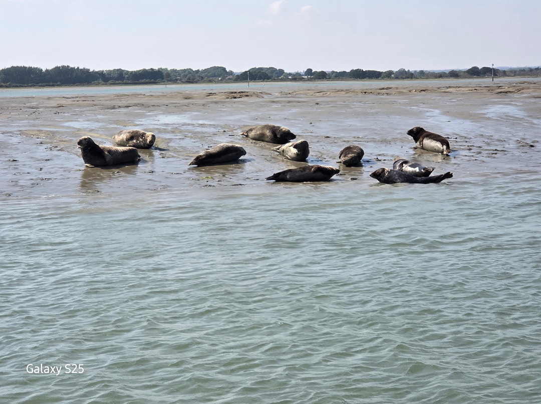 Chichester Harbour Water Tours-West Itchenor必去景点