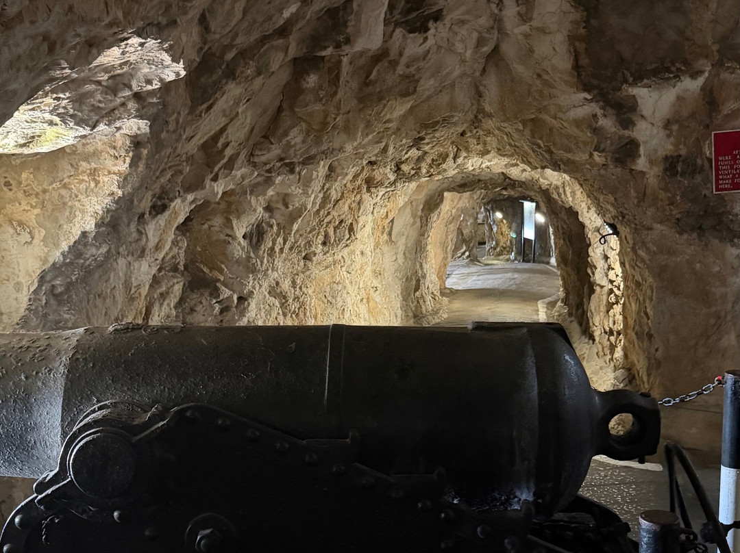 Gibraltar Rock Tours by John Lopez-直布罗陀必去景点