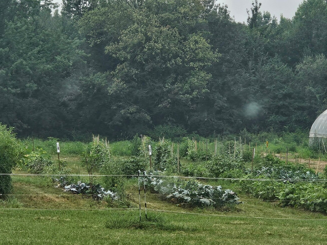 Kent Meadows Farm-Havre de Grace必去景点