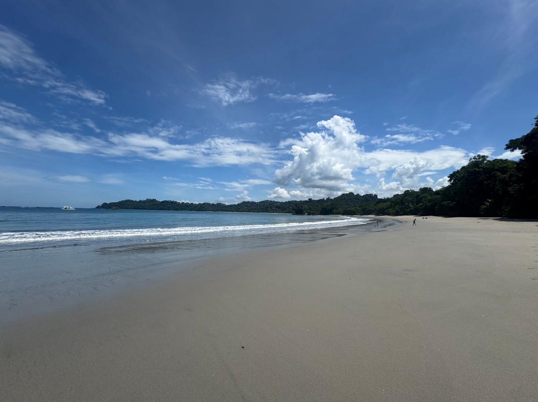 Parque Nacional Manuel Antonio-哥斯达黎加安东尼奥国家公园必去景点