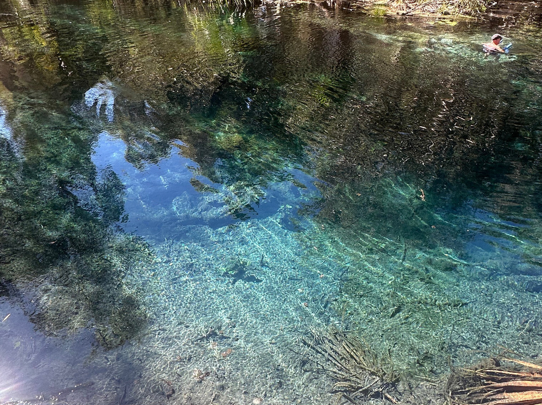 Bitter Springs-Mataranka必去景点