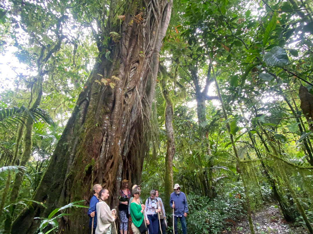 Tamblingan Jungle Trek And Lake Canoe Expedition-Buleleng必去景点