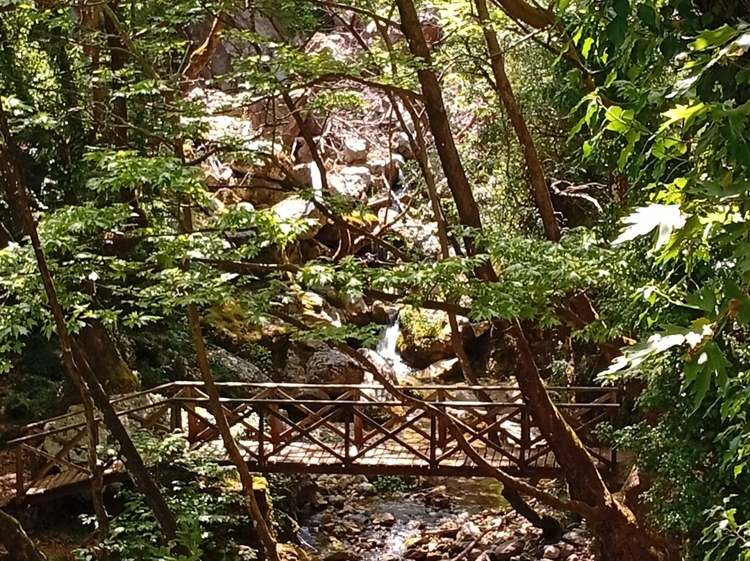 Hidden Garden with Waterfalls-Megalo Chorio必去景点